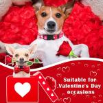 9-Pack Adjustable Holiday Dog Collars for Small Pets