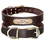 Personalized Leather Dog Collar with Engraved ID Tag