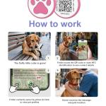 WhoseID QR Code Cat ID Tag - Rose