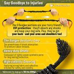 Hands-Free Waist Leash for Large Dogs