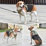 Heavy Duty No Pull Dog Harness with Handle