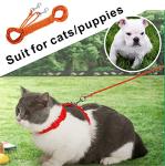 Reflective 50FT Cat Leash with Personalized Safety