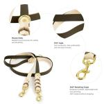 Albcorp Adjustable Hands-Free Dog Leash - 7.2 ft