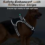 Personalized Tactical Service Dog Harness with Tags