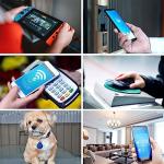 10 NFC Tag Keychains for Pet Identification