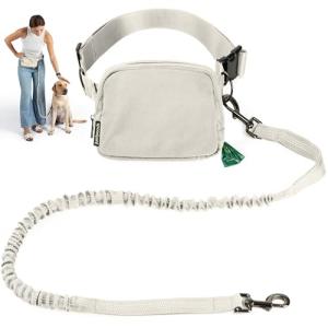 Hands-Free Dog Leash with Treat Pouch