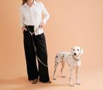 Albcorp Adjustable Hands-Free Dog Leash - 7.2 ft