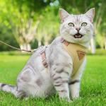 Adjustable Escape-Proof Cat Harness and Leash Set