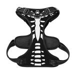 Personalized No Pull Dog Harness with Name & Number