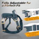 Personalized Tactical Service Dog Harness with Tags