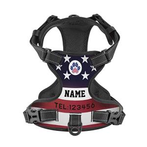 Personalized No Pull Dog Harness with Flag Design