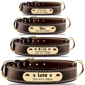 Custom Leather Dog Collar with Engravable Nameplate