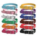 Colorful Adjustable ID Collars for Dogs