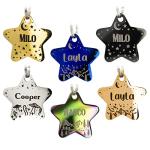 Custom Engraved Stainless Steel Dog ID Tag