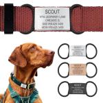 Silent Slide-On Personalized Dog Tags in Stainless Steel