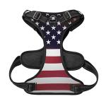 Personalized No Pull Dog Harness with Flag Design