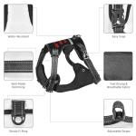 Custom Reflective Dog Harness with Name and Number