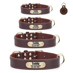 Personalized Leather Dog Collar with Nameplate