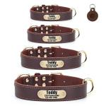 Personalized Leather Dog Collar with Nameplate