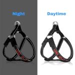 Custom No Pull Dog Harness with Name & Number