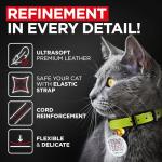 Stylish Leather Cat Collar with Bell and ID Tag