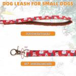 Kooltail Christmas Dog Collar and Leash Set