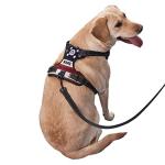 Personalized No Pull Dog Harness with Flag Design