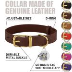 BronzeDog QR ID Tag Leather Collar for Small Pets