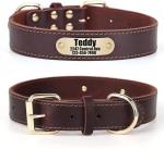 Personalized Leather Dog Collar with Nameplate