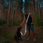 Hands-Free Reflective Dog Leash and Waist Belt