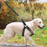 Custom No Pull Dog Harness with Name & Number