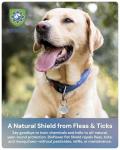 Natural Flea & Tick Collar Tag for Pets