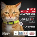 Stylish Leather Cat Collar with Bell and ID Tag