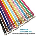 Colorful Adjustable ID Collars for Dogs