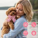 Pink Bowtie Dog Collar and Leash Set