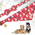 Kooltail Christmas Dog Collar and Leash Set