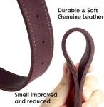 Personalized Leather Dog Collar with Nameplate