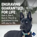 Silent Slide-On Personalized Dog Tags in Stainless Steel