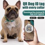BronzeDog QR ID Tag Leather Collar for Small Pets
