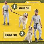 Pet Dreamland Hands-Free Leash for Big Dogs