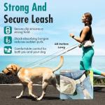 Hands-Free Dog Leash with Treat Pouch