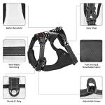 Personalized No Pull Dog Harness with Name & Number