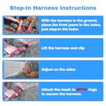 Custom No Pull Dog Harness with Name & Number