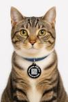 Smart Waterproof QR Code Pet ID Tag – Black