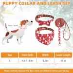Kooltail Christmas Dog Collar and Leash Set