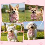 Pink Bowtie Dog Collar and Leash Set