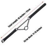 Gothic Black Dog Collar and Leash Set