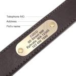 Personalized Leather Dog Collar with Engraved ID Tag