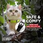 Stylish Leather Cat Collar with Bell and ID Tag