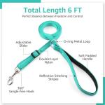 Kuley Teal AirTag Dog Collar and Leash Set